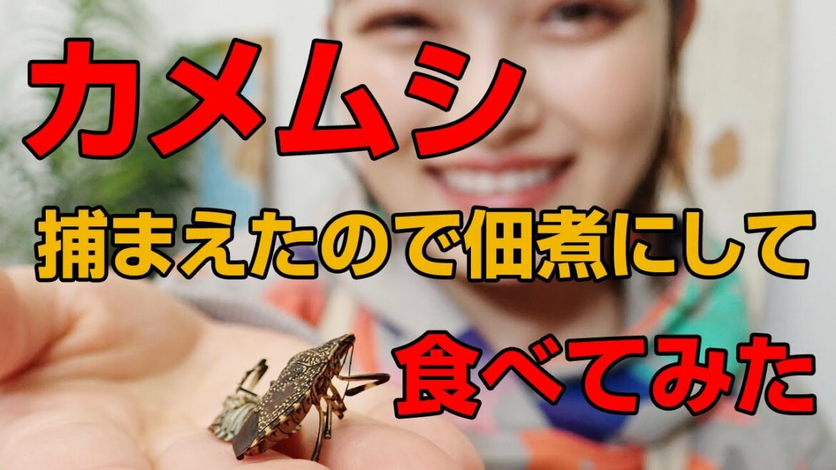 みんな嫌い?! カメムシ食べてみた。内山昭一、井上咲楽の昆虫食