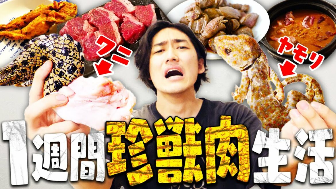 【検証】1週間ゲテモノだけを食べ続けたら何キロ痩せるのか？【縛り生活】