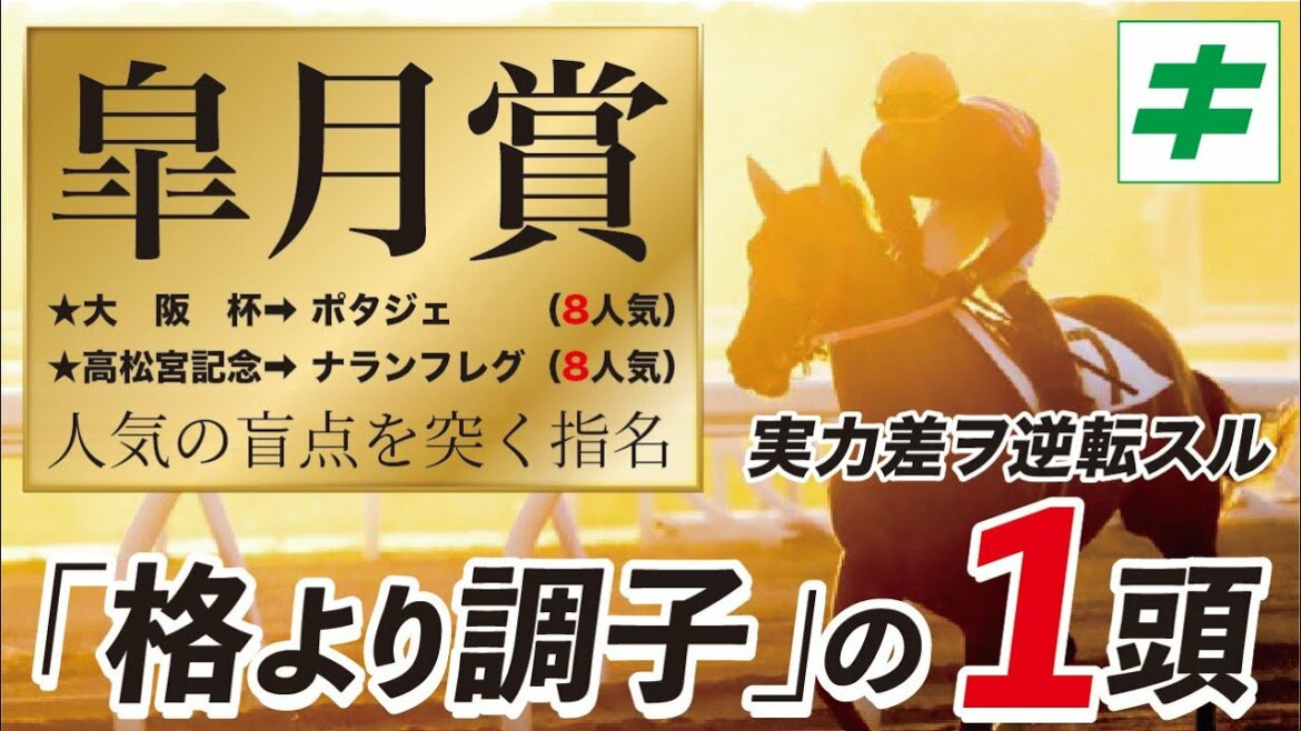 皐月賞 2022 【予想/調教】人気の盲点を突け！名手絶賛の「★あの好調教馬」とは？