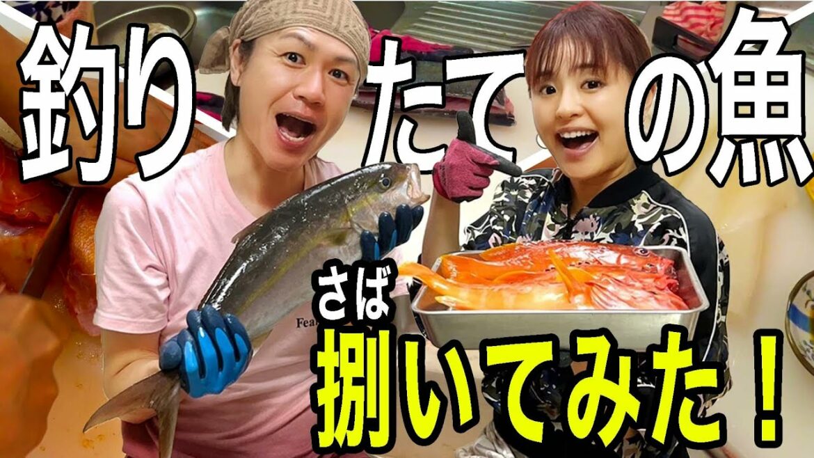 【夫婦道】釣りたての魚捌いてみた!!【挑戦!!】