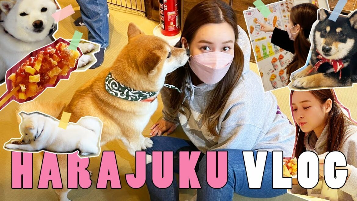 【VLOG】10年ぶりに原宿で遊んでみた💛竹下通り街ブラ〜原宿の豆柴カフェでとっても癒やされました😊