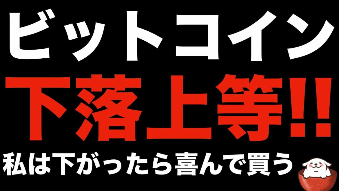 【暗号資産 ビットコイン 相場分析】仮想通貨の明るい未来を本当に信じている私は下落程度でビビりません（朝活配信785日 毎日相場をチェックするだけで勝率アップ）