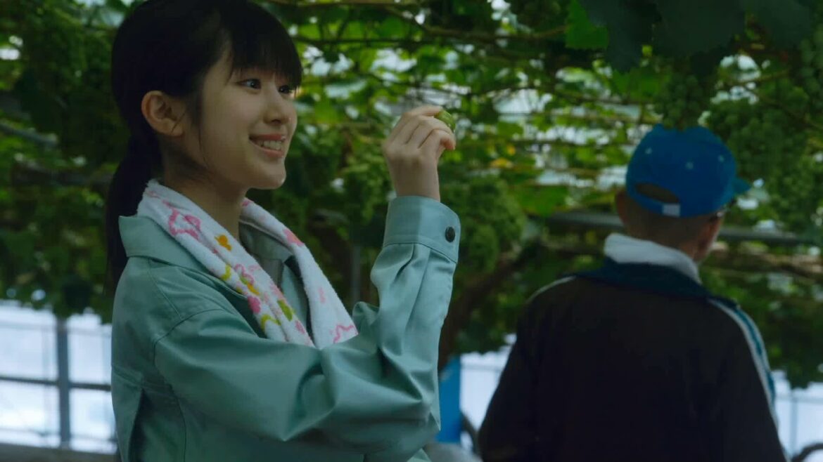 【映画DB】「しあわせのマスカット」予告編（出演：福本莉子）