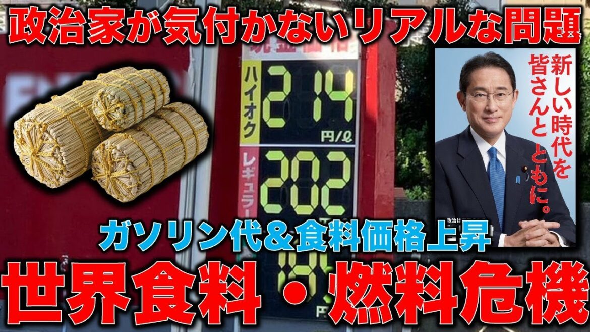 世界食糧危機。食品＆ガソリン価格の世界的高騰に日本も巻き込まれる。日本が危機対応出来ない不都合な真実。平田悠貴。一月万冊