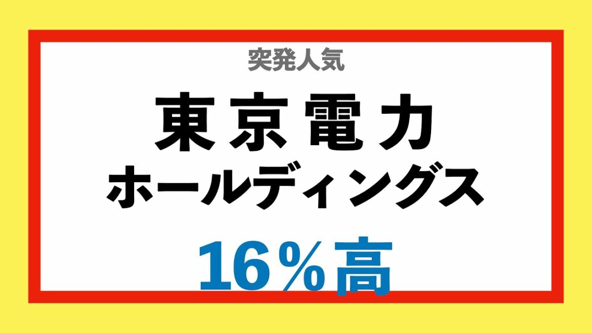 東京電力ホールディングス