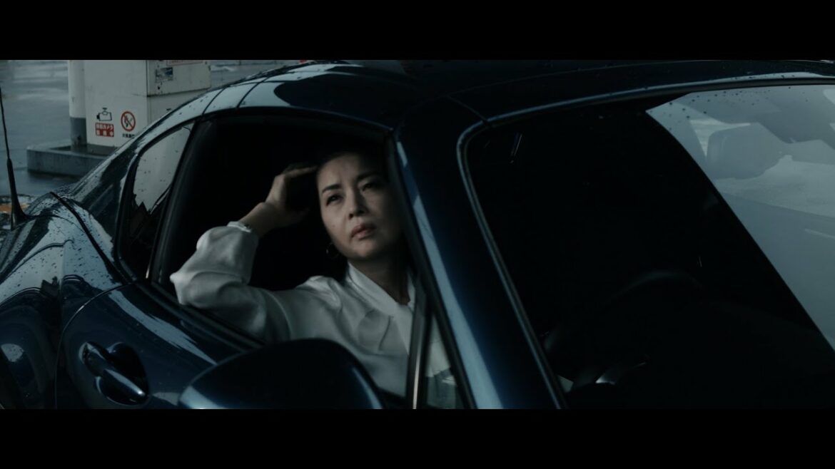 藤あや子『鳥』MUSIC VIDEO 藤あや子『鳥』MUSIC VIDEO