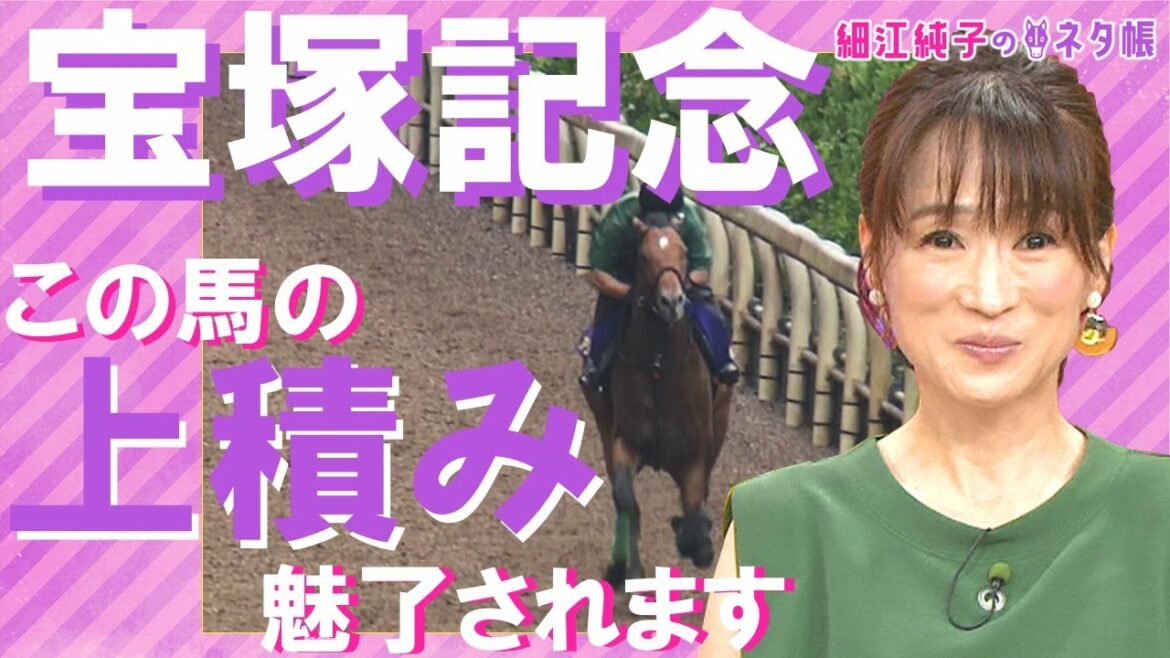 「この馬の上積みに魅了されます」宝塚記念ここだけの陣営情報《細江純子のネタ帳＃16》
