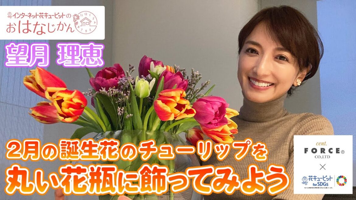 「2月の誕生花のチューリップを丸い花瓶に飾ってみよう」花キューピットの“おはなじかん ” ｜セント・フォースタイアップ企画