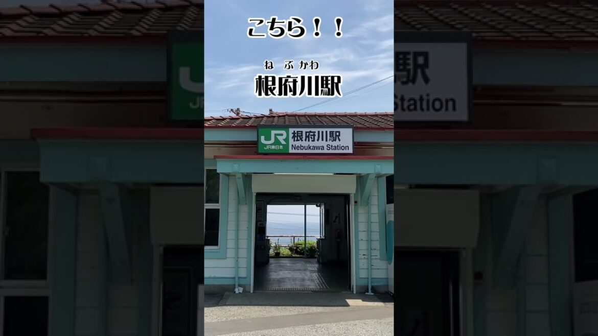【あの人に選ばれた⁉︎】根府川駅 JR東日本(神奈川県小田原市)#shorts