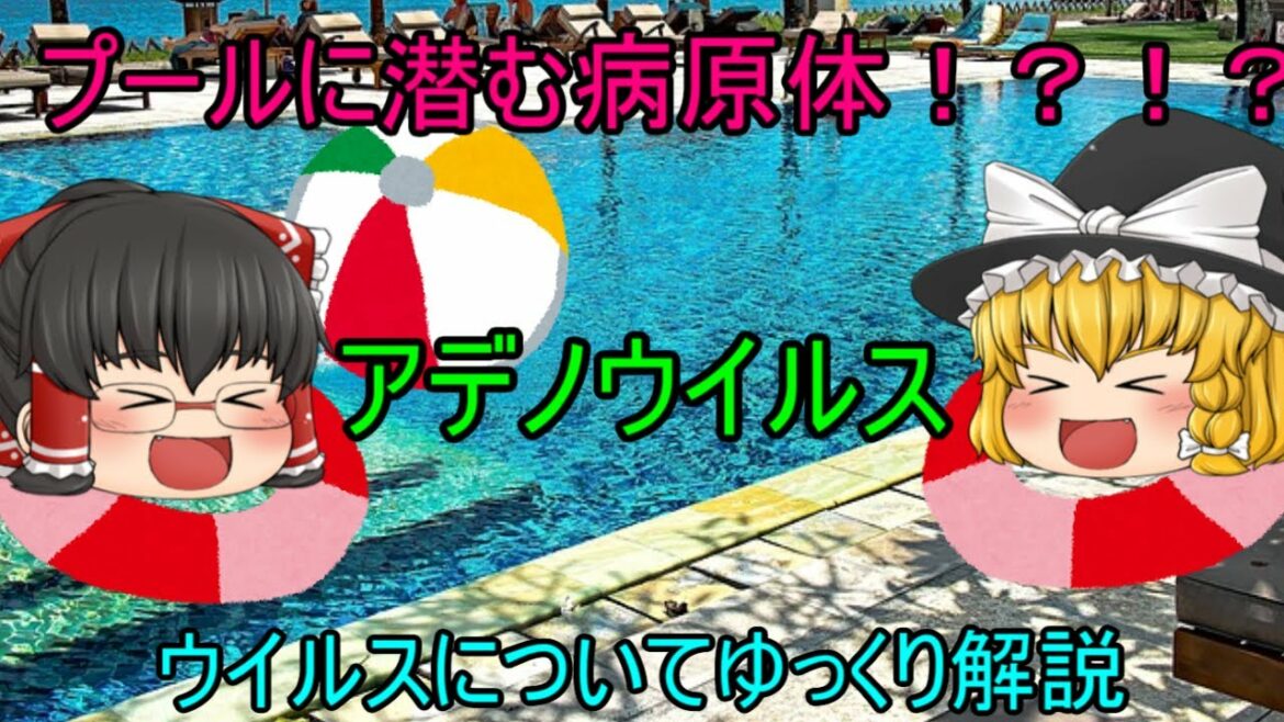 【ゆっくり解説】プールで感染！？！？アデノウイルスについてゆっくり解説