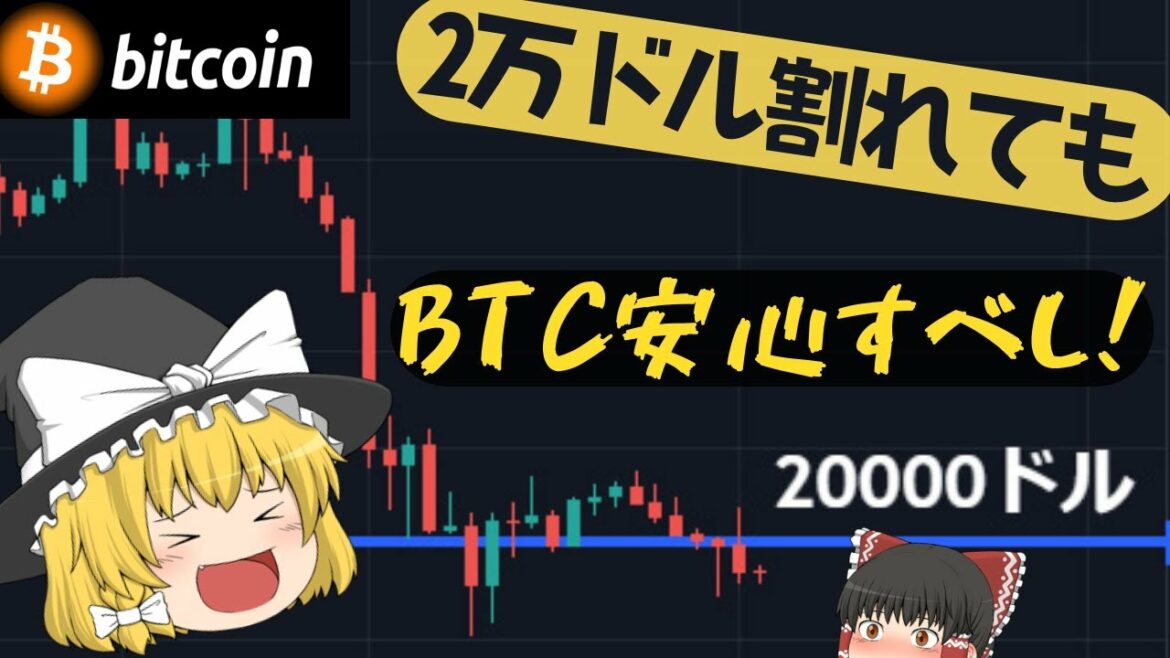 【ゆっくり解説】法定通貨目線でビットコインが長期で安心できる理由【仮想通貨】