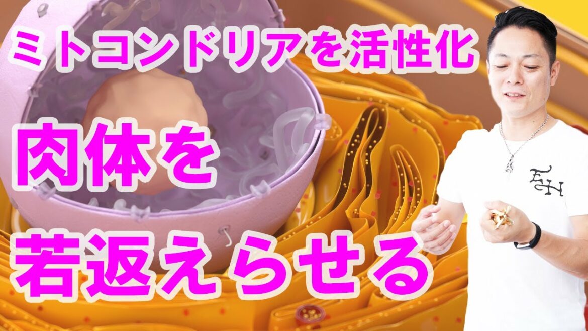 【寝ながら聞くだけで】ミトコンドリアを活性化し細胞を若返らせる〜プロ霊能力者のガチヒーリング