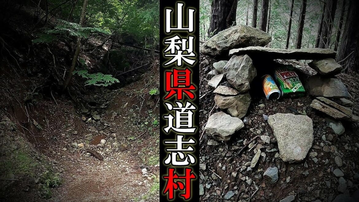 【現場】山梨県道志村