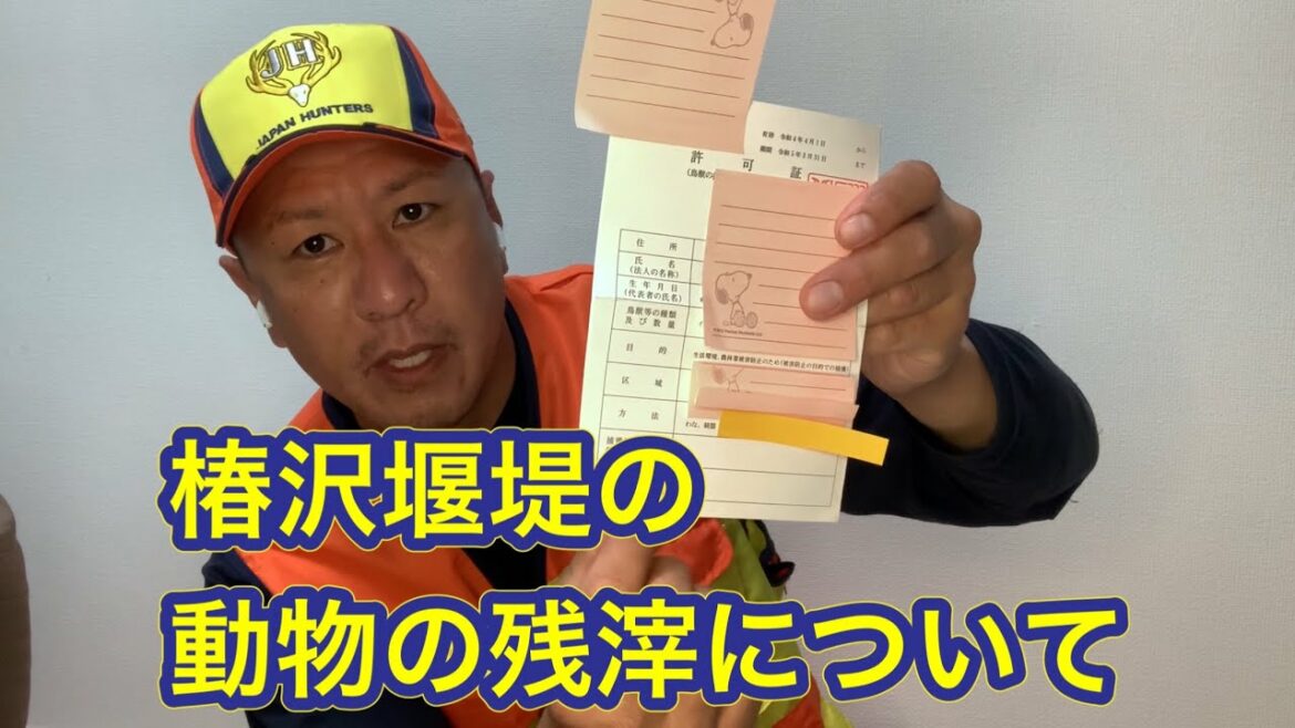【絶対に許せない】山梨県道志村の椿沢堰堤に不法投棄していた動物の残滓について解説します