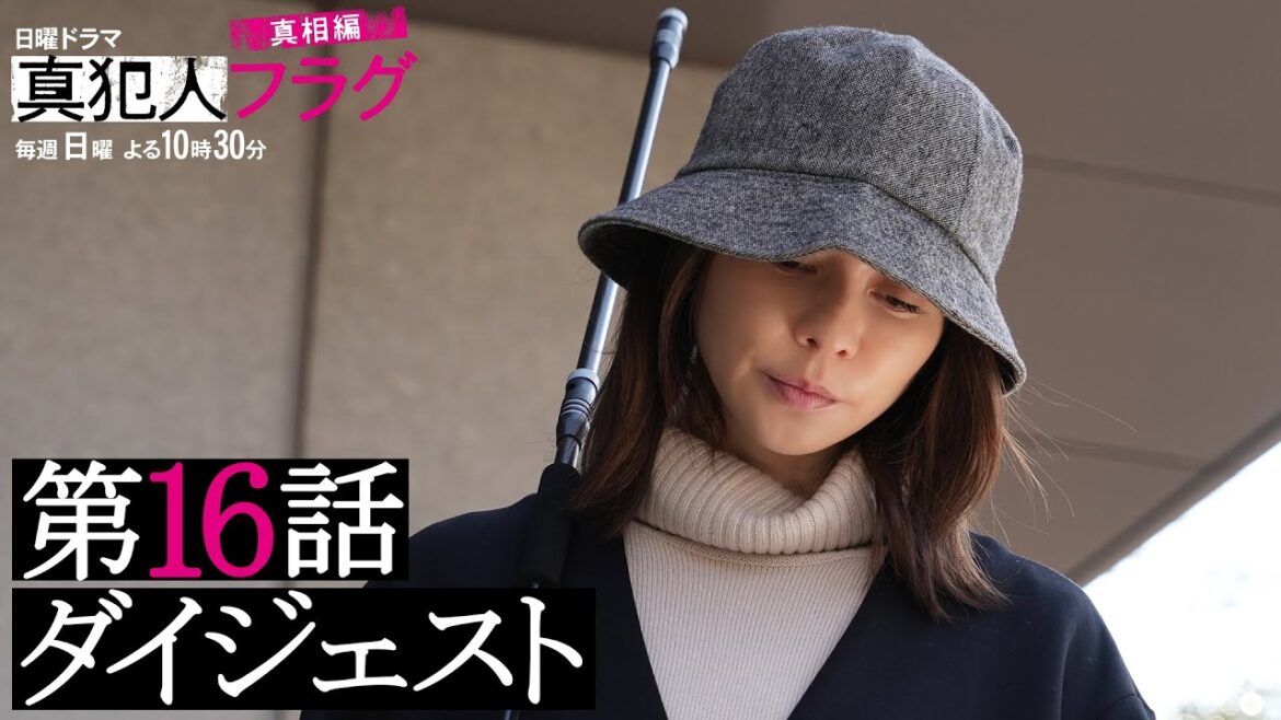 【西島秀俊 芳根京子 宮沢りえ】日曜ドラマ「真犯人フラグ 真相編」第16話がわかるダイジェスト！【第17話は2/20(日)よる10:30】