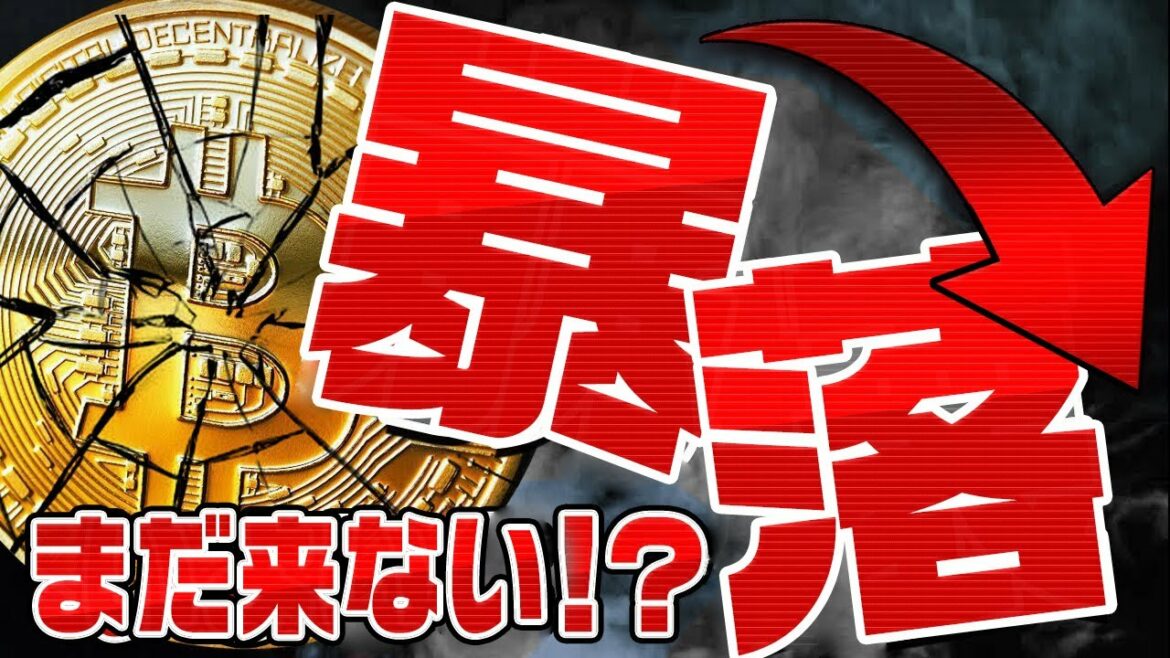 【BTC最新分析!!】ビットコインの暴落はまだ来ない！〇〇したら暴落確定⁉︎【仮想通貨】