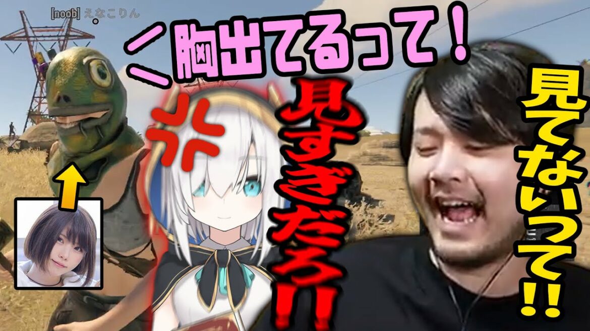 【Rust】えなこりんの胸を見てアルス・アルマルに怒られるk4sen