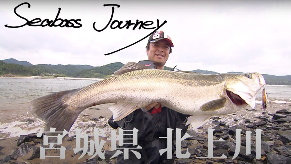 【Seabass Journey】デーゲームで怒涛の連発！宮城県北上川で楽しむリバーシーバスゲーム！！