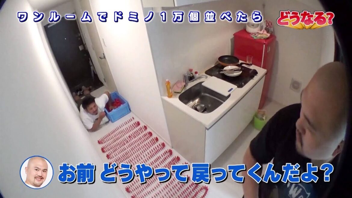 ワンルームでドミノ一万個生活したらどうなる？
