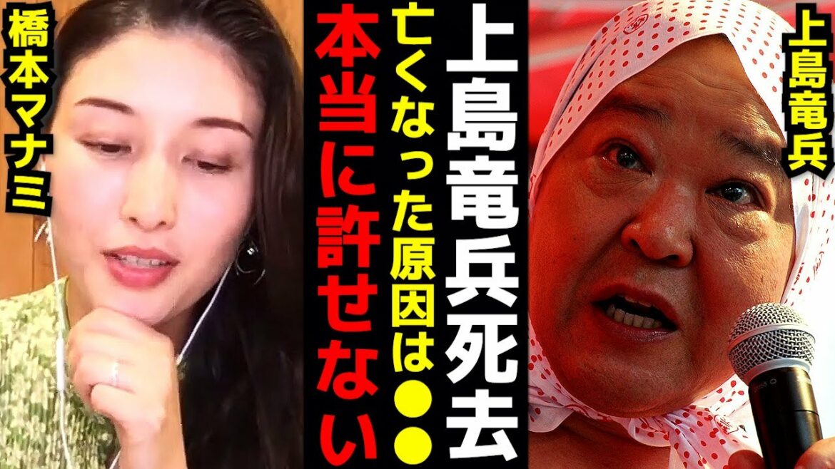 上島竜兵を追い詰めた犯人は●●です ひろゆき×橋本マナミ 切り抜き