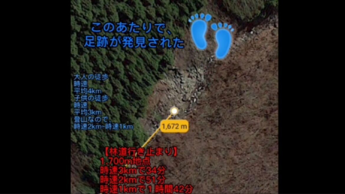 事件説・偶然？・なぜ？(山梨女児行方不明事件)