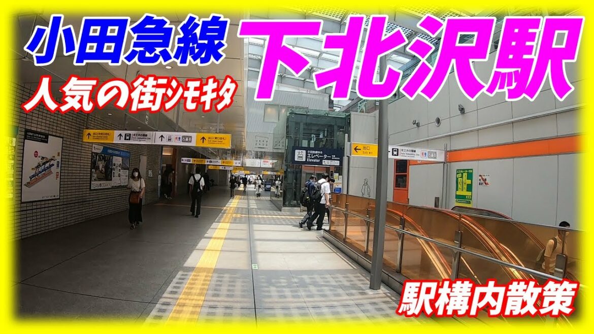 小田急線、京王井の頭線、下北沢駅構内を散策！(Japan Walking around Shimo-Kitazawa Station)