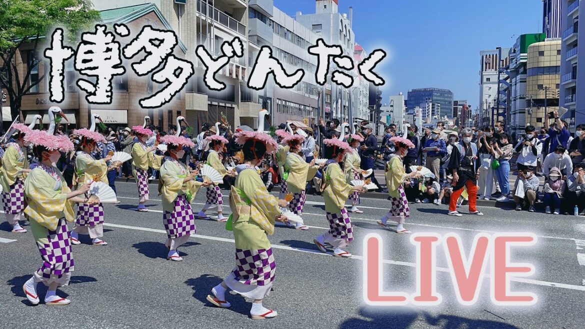 日本旅遊｜福岡三大慶典之一 ｜博多どんたく ｜獨家LIVE 直播