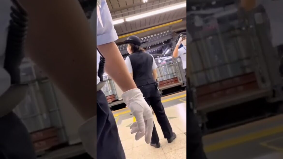 財布を落として非常停止にJR東日本の駅員激高　まるで暴力団🐷