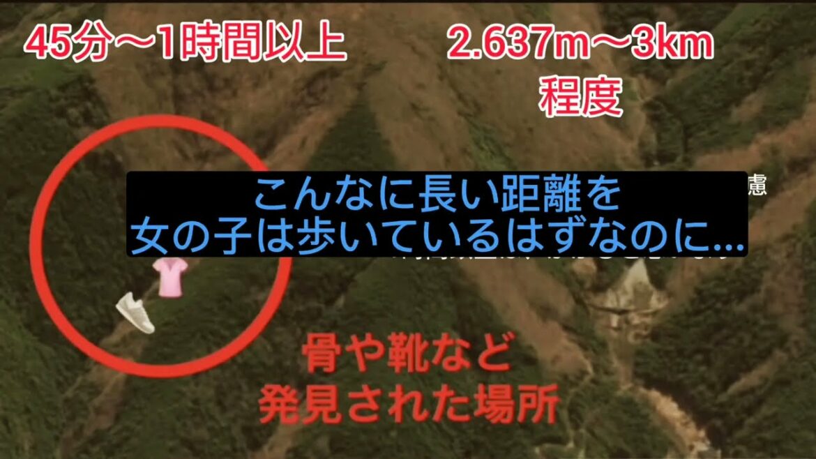 顎の骨女の子と断定・謎(山梨女児行方不明事件)