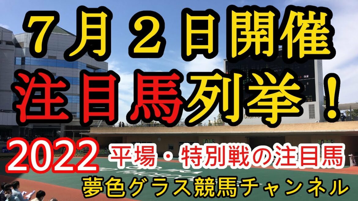 【注目馬列挙・平場予想】2022年7月2日JRA平場特別戦！函館、福島のメインTUF杯、Tvh杯はこの馬を狙っていきたい！引き続き新馬戦にも注目！