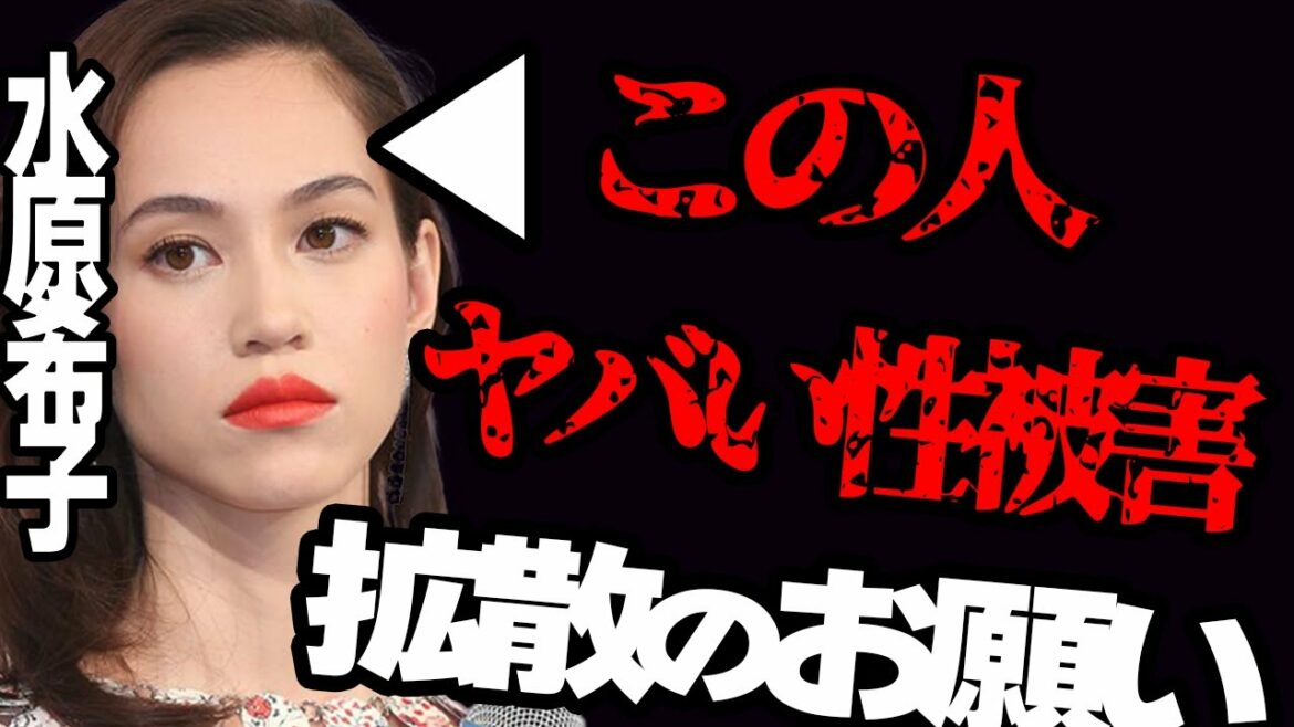 【水原希子】芸能界の性加害 告発 勇気ある行動 東谷ガーシーｃｈ