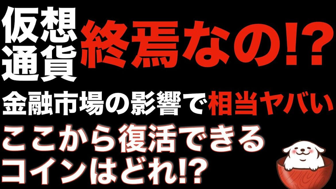 【暗号資産 ビットコイン 相場分析】これからの悲観相場を耐えて復活できるコインとは！？（朝活配信789日 毎日相場をチェックするだけで勝率アップ）