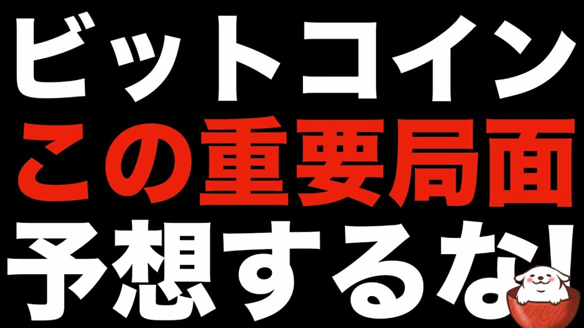 【暗号資産 ビットコイン 相場分析】リスクを背負って予想するより、動いた方向へ乗るほうが堅実で楽（朝活配信795日 毎日相場をチェックするだけで勝率アップ）