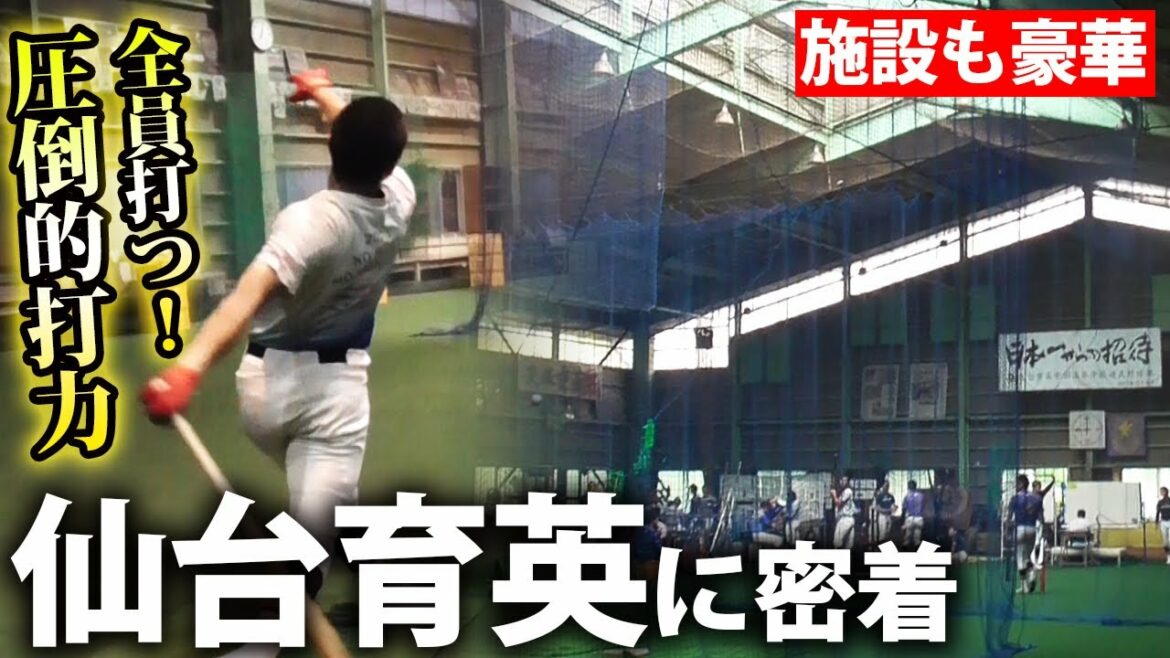 【超名門】仙台育英の練習に密着!レギュラー、控え関係なしに全員がハイレベルな打撃 【超名門】仙台育英の練習に密着!レギュラー、控え関係なしに全員がハイレベルな打撃
