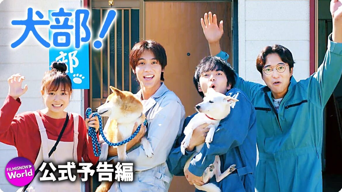 林 遣都×中川大志主演！映画『犬部！』予告篇