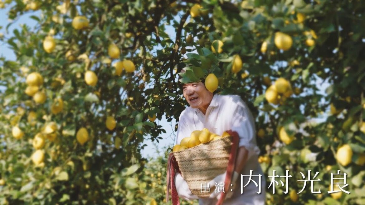 『新！麒麟特製レモンサワー』と内村光良（57）／キリンビール