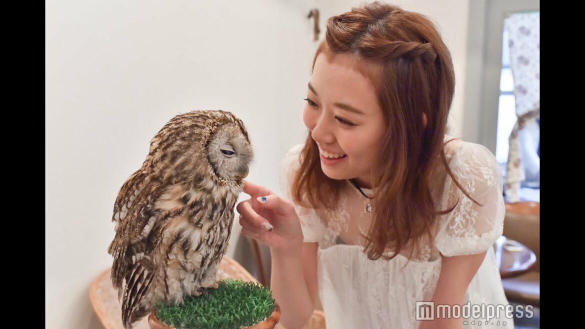 ＜みるきー オトナ行き＞渡辺美優紀、キュートなフクロウに癒やされる？