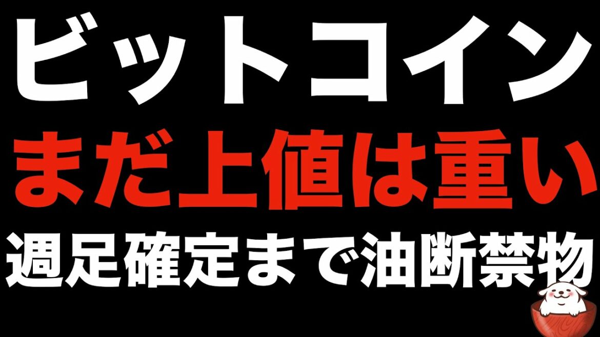 【暗号資産 ビットコイン 相場分析】〇つの仮説をベースに週末の値動きに注目（朝活配信797日 毎日相場をチェックするだけで勝率アップ）