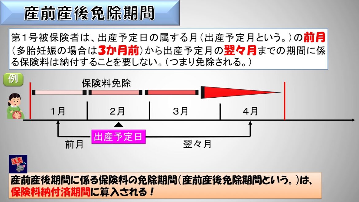 国民年金：第１号被保険者の産前産後免除期間