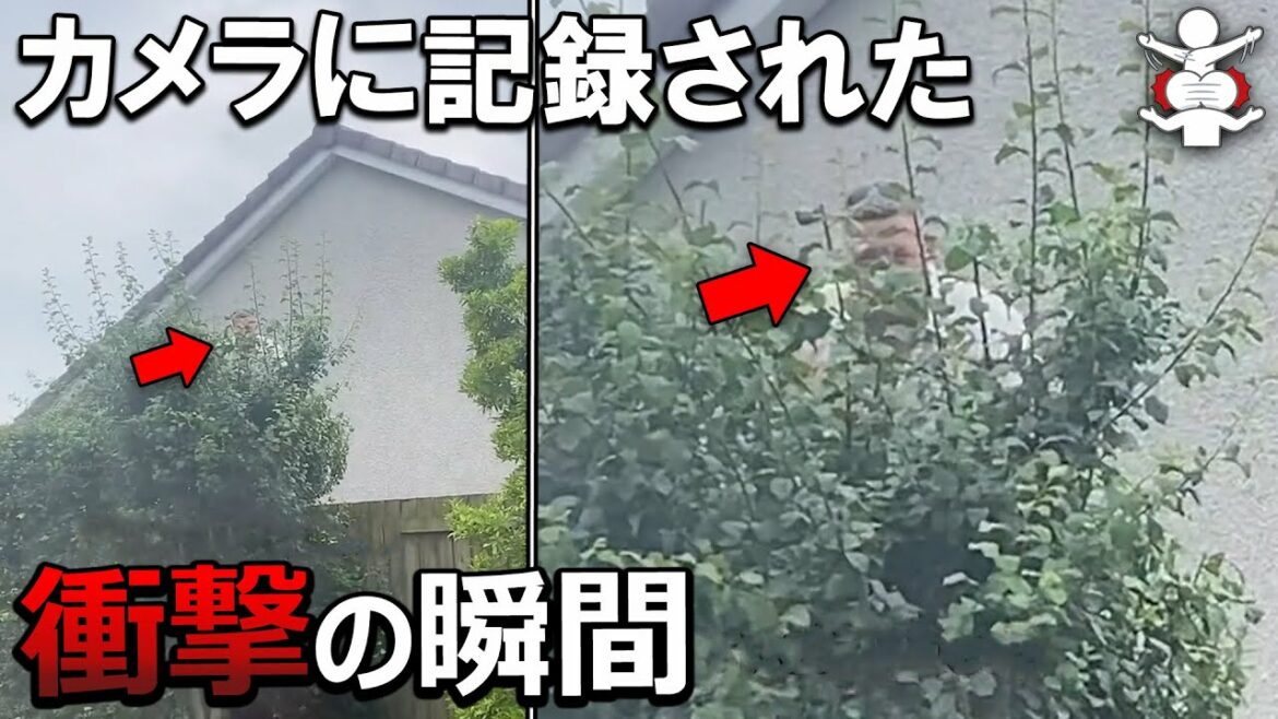 【恐怖映像】カメラに記録された絶対に遭遇したくない瞬間7選