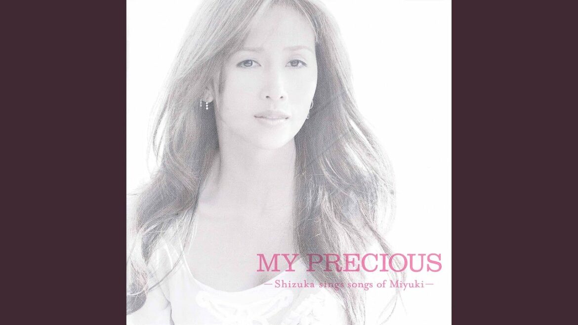 カム・フラージュ (カバー)