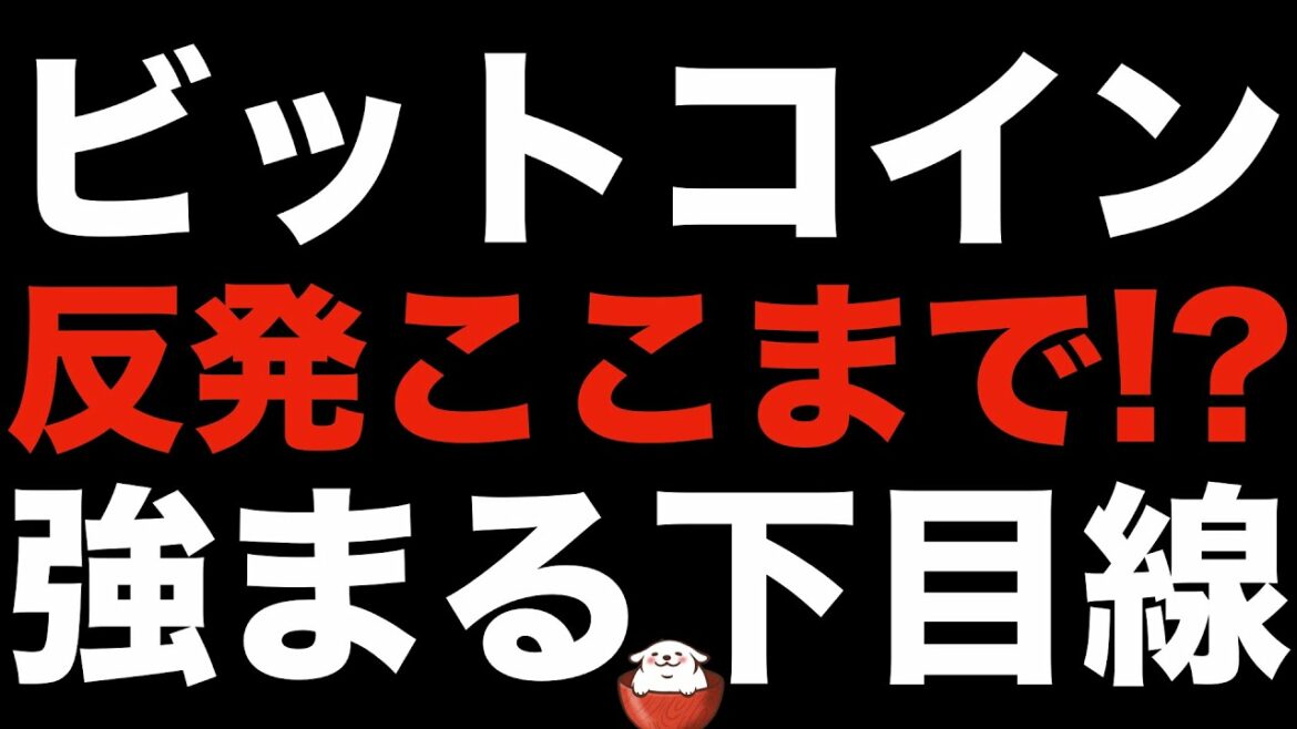 【暗号資産 ビットコイン 相場分析】下落目線と思い込んだトレーダーは負け確定！（朝活配信799日 毎日相場をチェックするだけで勝率アップ）
