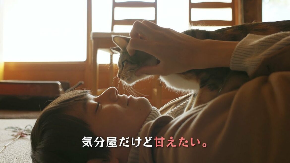古川雄輝＆細田佳央太らイケメンたちがキュートな猫と戯れる　「劇場版 ねこ物件」ショート予告