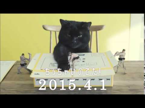 ヤマト運輸 「ちっちゃい荷物、送る人がふえたから!TOKIO 城島茂 山口達也 国分太一 松岡昌宏 長瀬智也 ヤマト運輸 「ちっちゃい荷物、送る人がふえたから!TOKIO 城島茂 山口達也 国分太一 松岡昌宏 長瀬智也