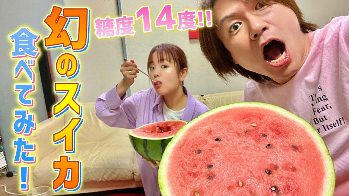 【激アマ！】糖度14度‼️幻のスイカを食べてみた!