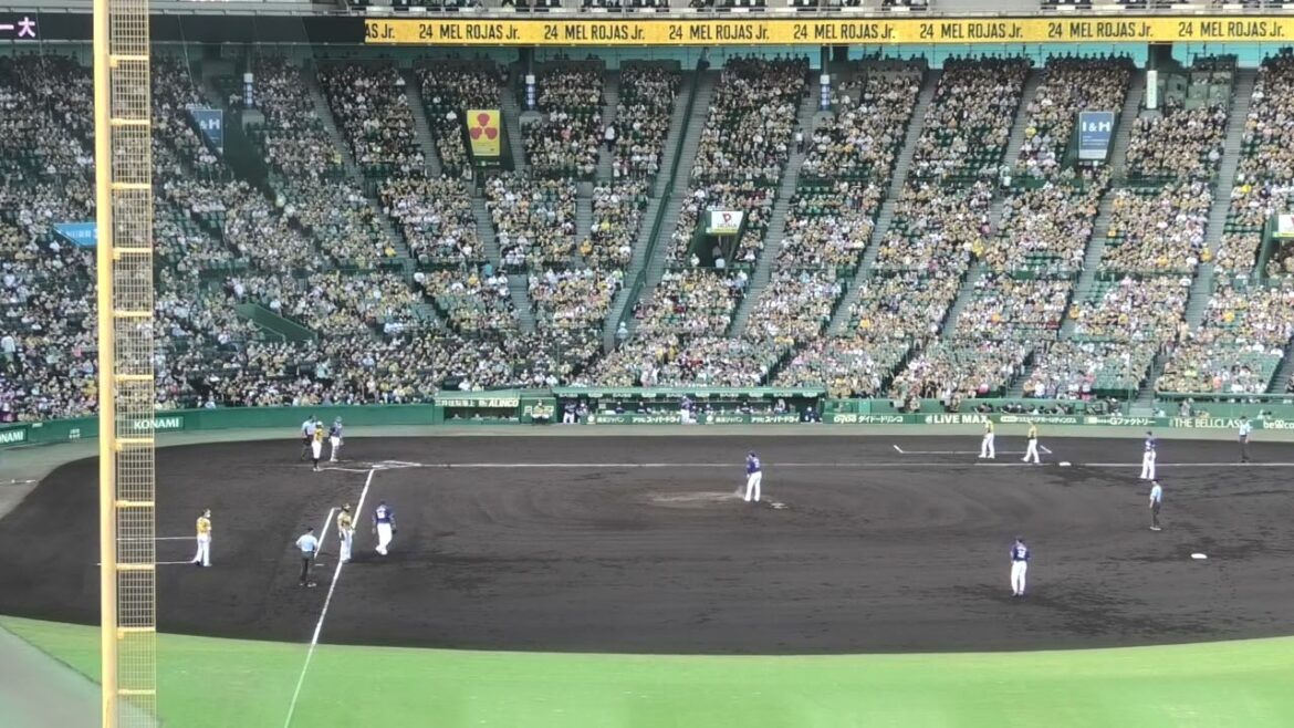 阪神タイガース　近本・佐藤輝明ダブルスチールで追加点　＠甲子園　20220717