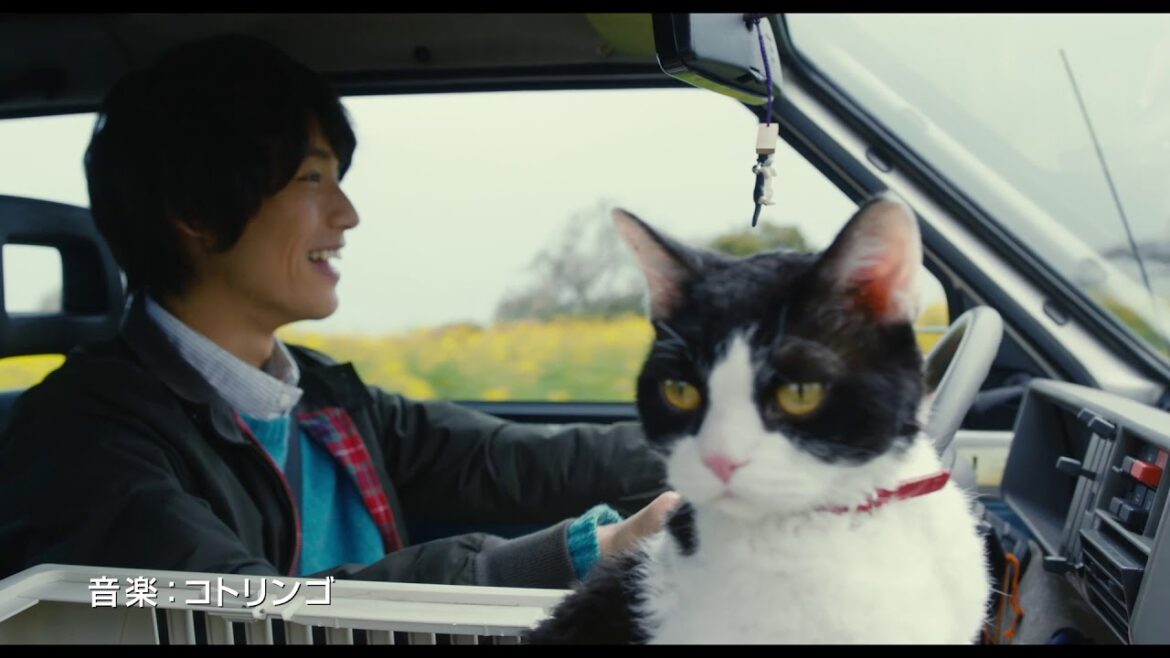 猫の声は高畑充希！福士蒼汰主演『旅猫リポート』特報