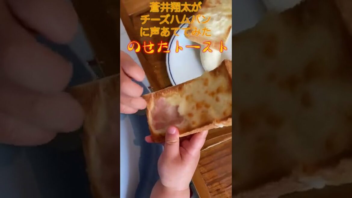 蒼井翔太がチーズハムパンに声あててみた【メシ声】