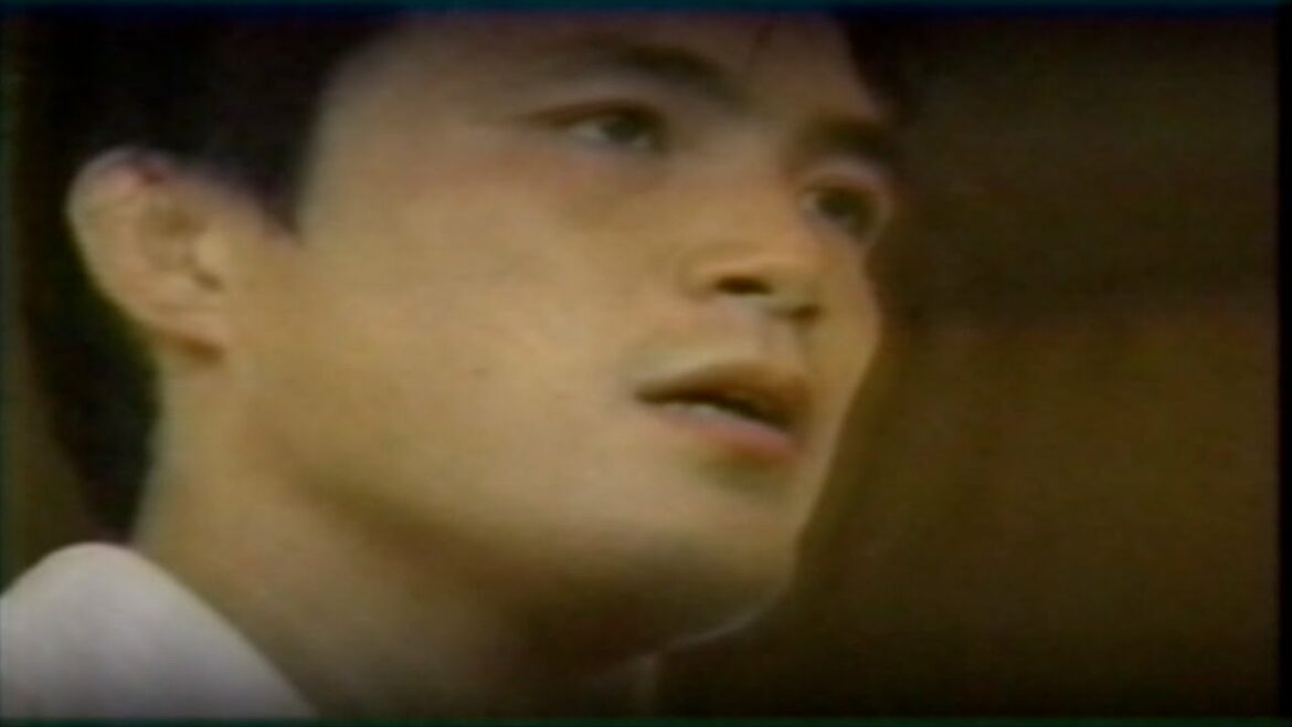 1996 All-Japan Weight Class Championships (Koga, Yoshida, Nomura) 第29回全日本選抜体重別選手権大会