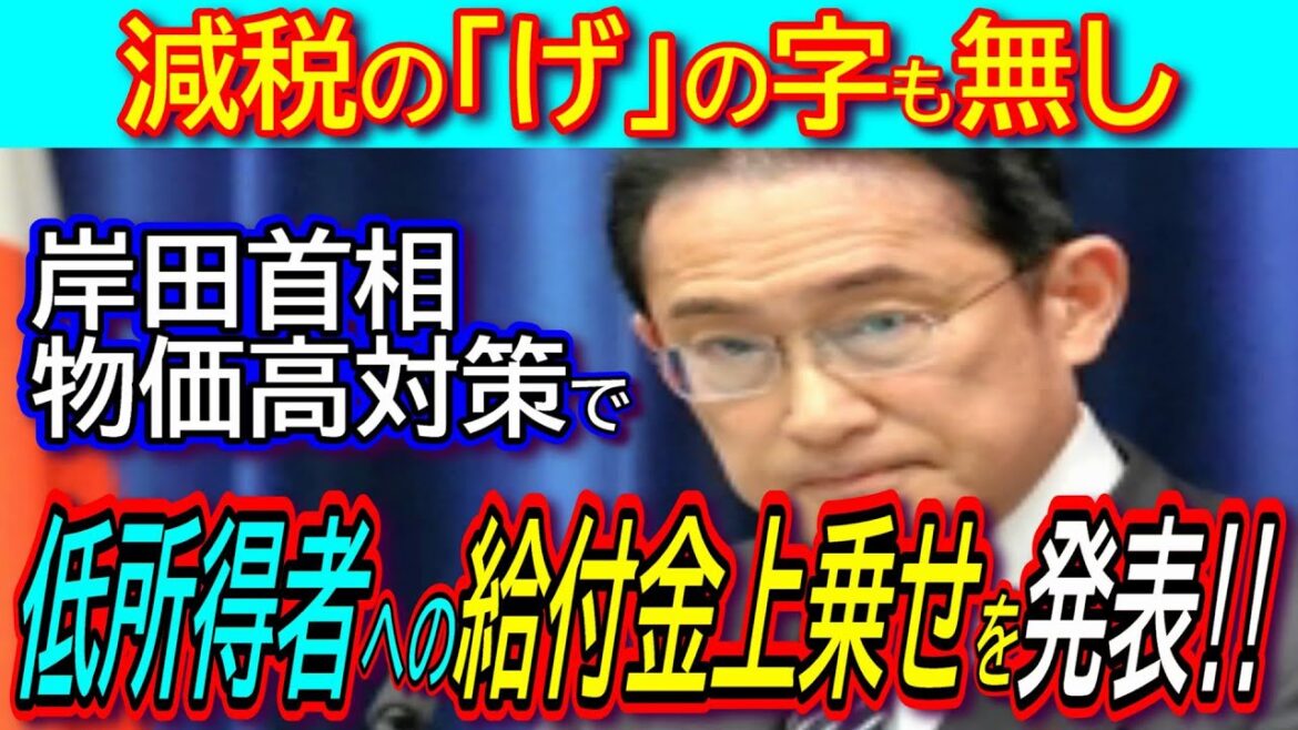 【物価高対策】岸田首相「低所得者への給付金上乗せ」や「農家に肥料コスト上昇分の７割を補填する新しい支援金」を発表‼原発再稼働や安倍元総理の国葬も発表‼【消費減税】
